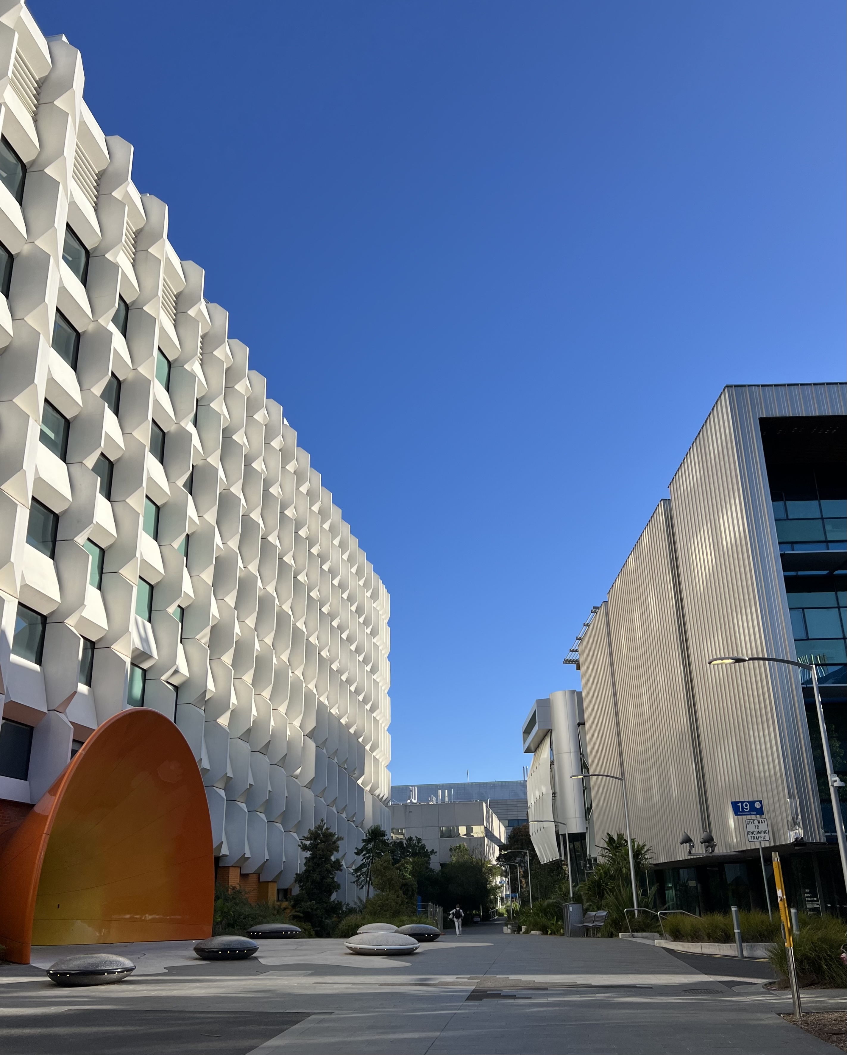 Biomedicine Discovery Institute br Monash University